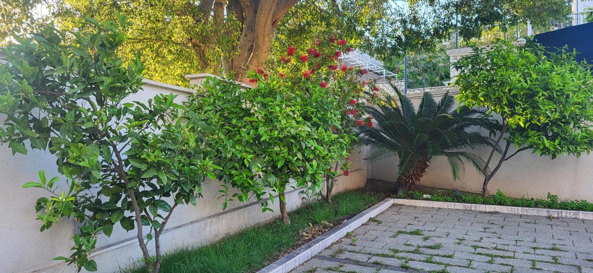 Apartments Villa Alba Dubrovnik Exterior foto